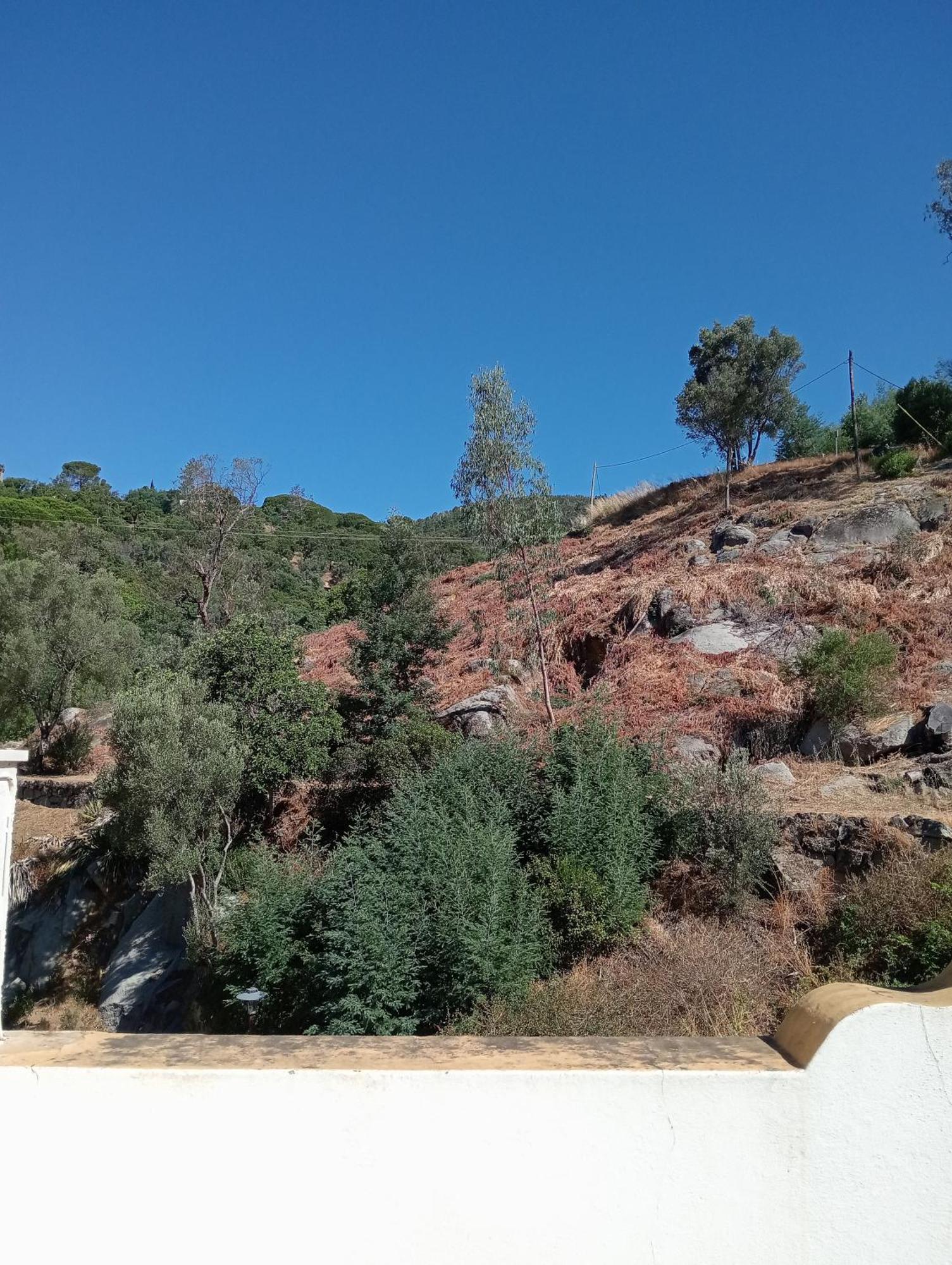 מונצ'יק Albergaria Do Lageado מראה חיצוני תמונה